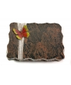 Barap Folio Papillon 1 (Color)