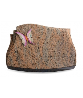 Liberty/Rainbow Papillon 1 (Color)