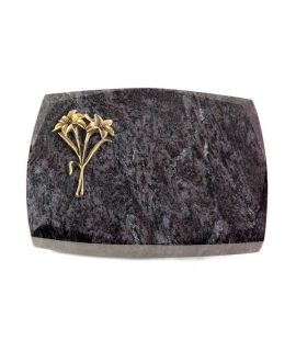 Roma/New-Kashmir Lilie (Bronze)