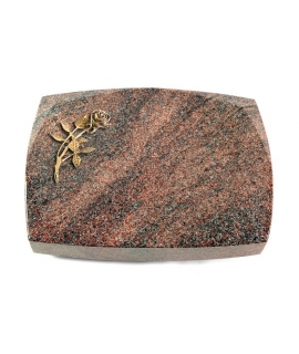 Roma/Orion Rose 6 (Bronze)