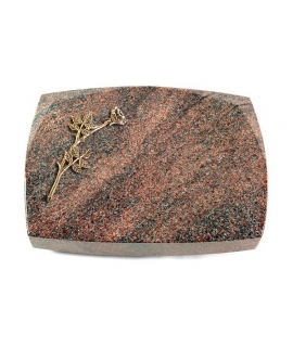 Roma/Orion Rose 9 (Bronze)