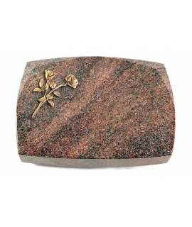 Roma/Orion Rose 10 (Bronze)