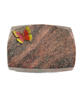 Roma/Orion Papillon 2 (Color)