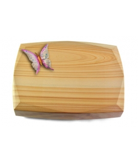Roma/Rainbow Papillon 1 (Color)