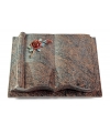 Antique/Orion Rose 1 (Color)