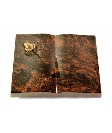 Livre/New Kashmir Rose 3 (Bronze)