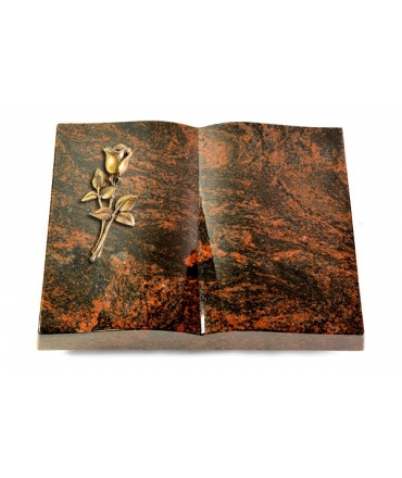 Livre/New Kashmir Rose 8 (Bronze)