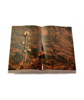 Livre/New Kashmir Rose 12 (Bronze)