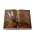 Livre/New Kashmir Papillon 1 (Color)