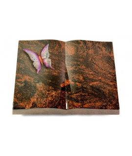 Livre/New Kashmir Papillon 1 (Color)